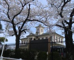 郡役所の桜